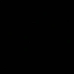 Meet your Posher, Helen